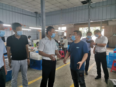 王建華在浮屠調研脫貧攻堅、鄉村振興和巡視反饋問題整改工作